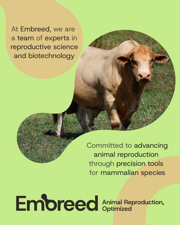 HyperBull Sperm Capacitation Kit