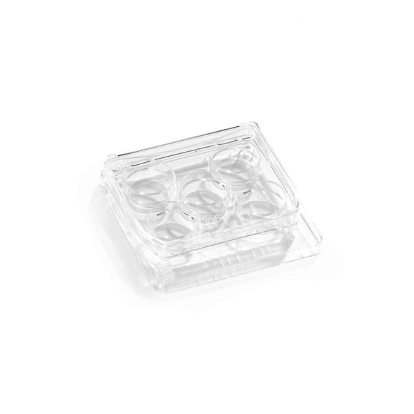 BIRR 5-Well Dish Round Edges Clear large label area fits all tags and no writing any longer from underneath