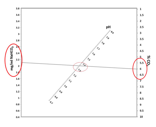 Correlation between Bicarbonate and CO2 Concentrations and the effect on pH