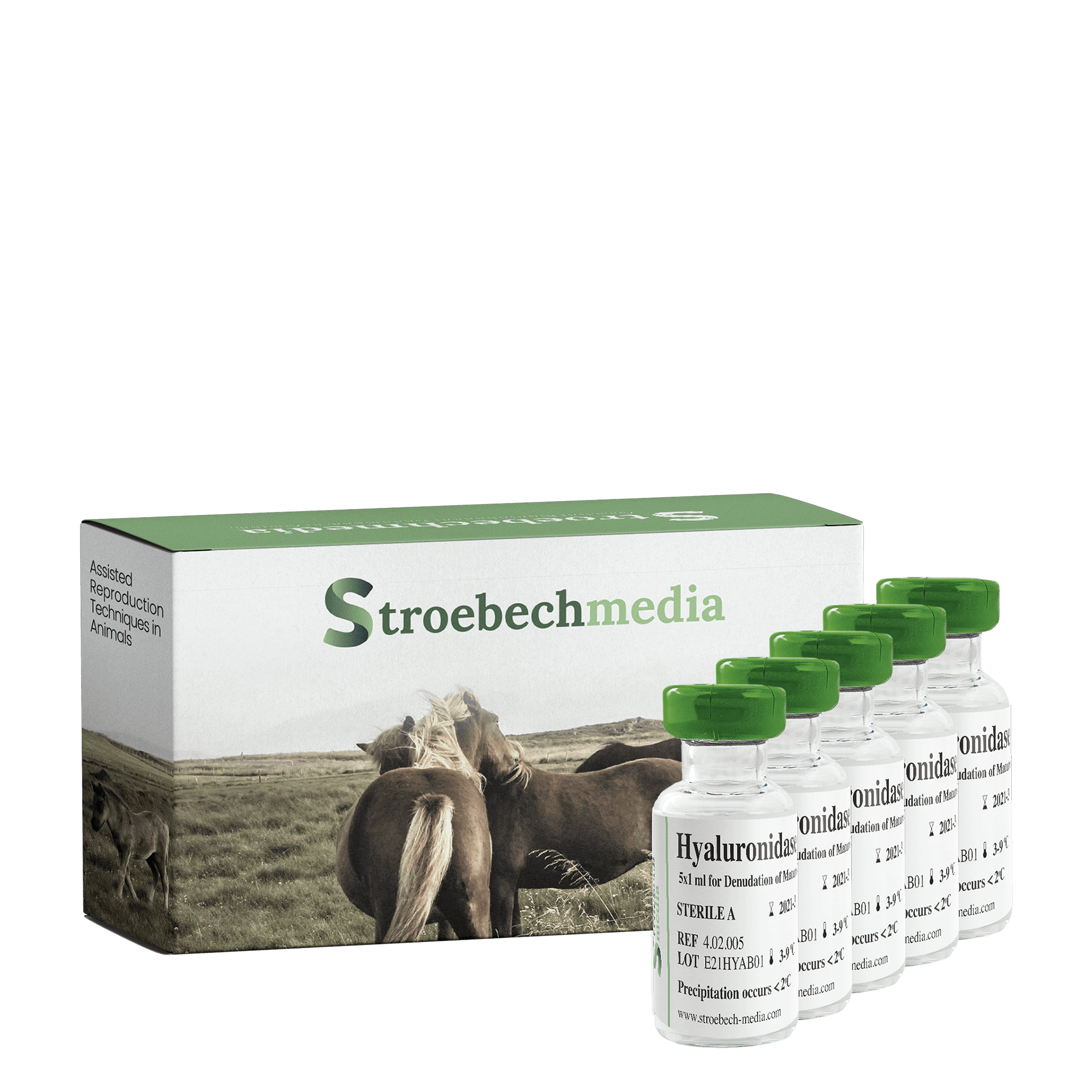 Equine Hyaluronidase Animal IVF Store equine-hyaluronidase-animal-ivf-store