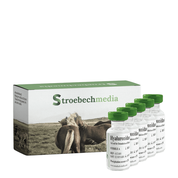 Stroebech Media, Equine Hyaluronidase; 5×1 ml in glass bottles for denudation of mature equine oocytes, Prod. No. 4.02.005