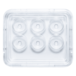 Oosafe® 6 Well Dish - IVF Store