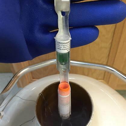 Cryoguard™ Thermal Exposure Indicators - IVF Store