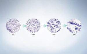 Olympus BX43F Microscope Package for Semen Evaluation - IVF Store