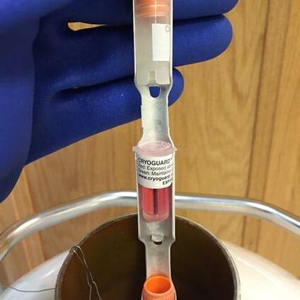 Cryoguard™ Thermal Exposure Indicators - IVF Store