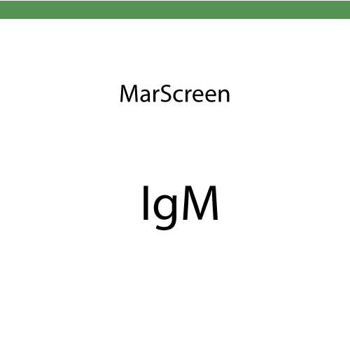 MarScreen Beads